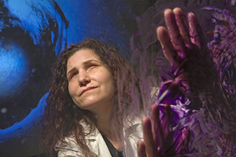 Pina Dolce malt news